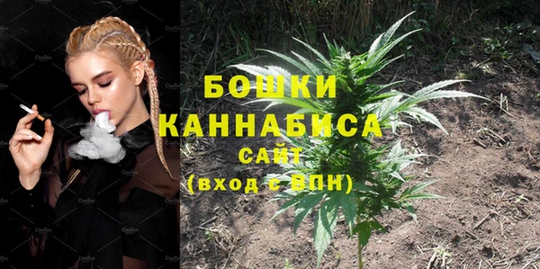 шишки Абдулино